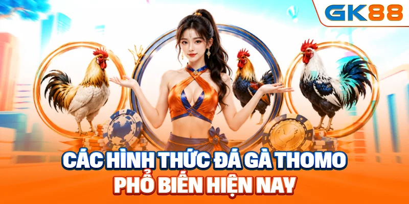 Các hình thức đá gà Thomo tại GK88 được yêu thích